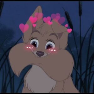 Meet your Posher, Ahna